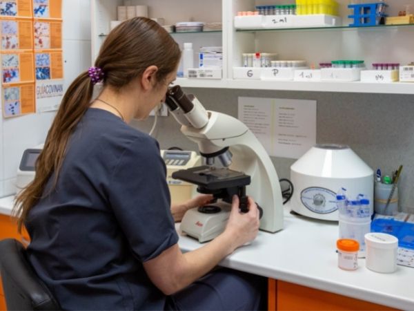 laboratorio-clinica-veterinaria-valladolid