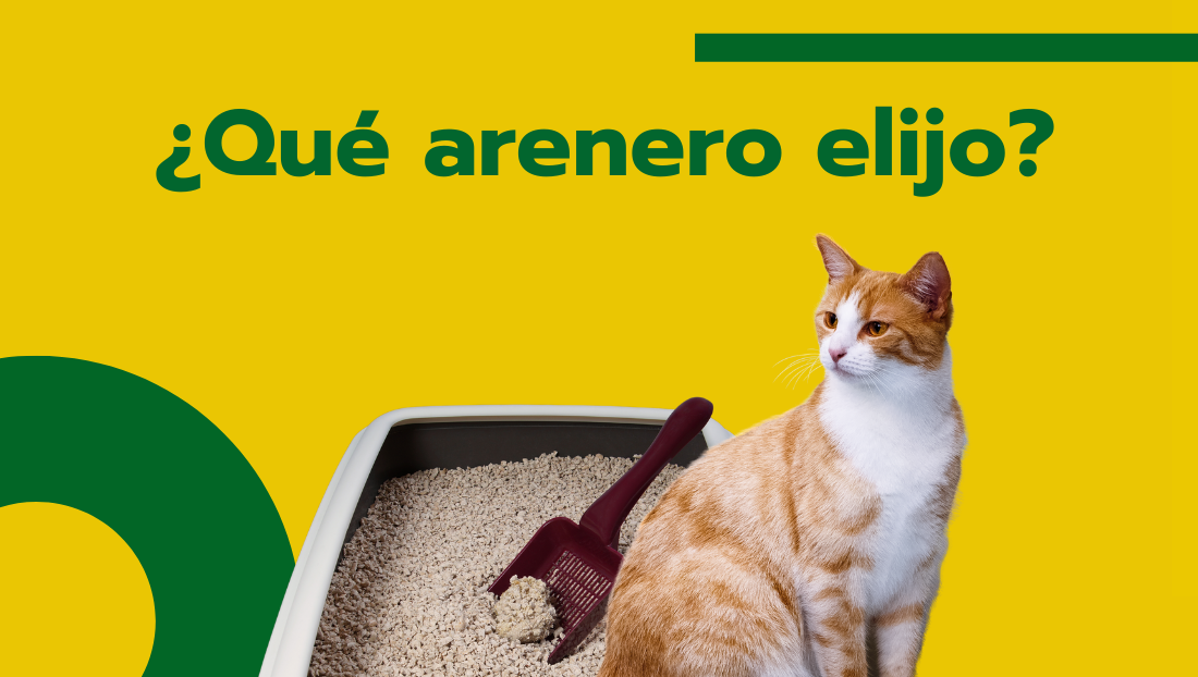 Arenero para gatos