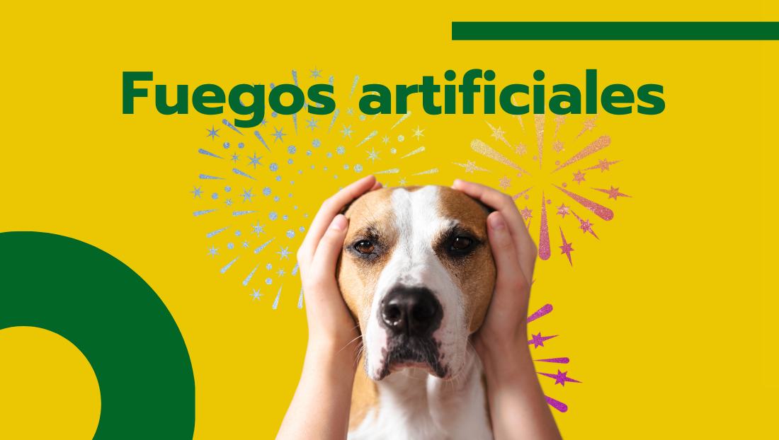 Fuegos artificiales y mascotas